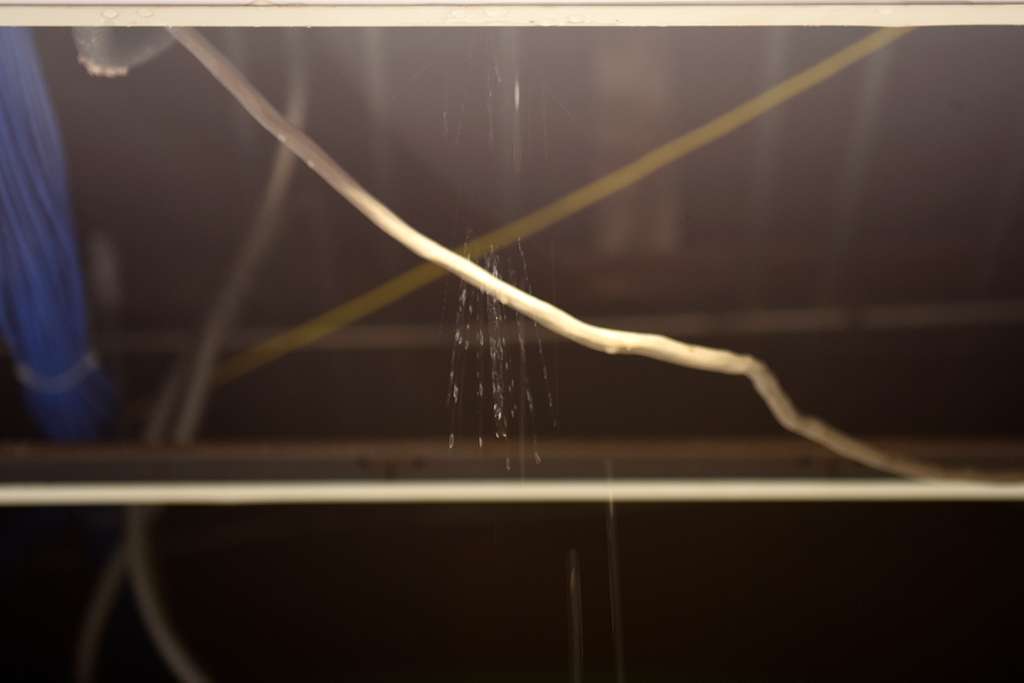Roof Leaks in Commercial Buildings_ Causes and Solutions _ WaterTight Roofing