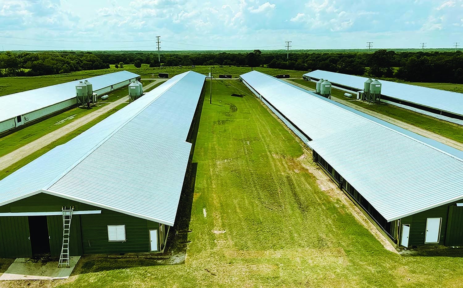 Reliable Roofing for Farm Buildings & Agricultural Structures – Agricultural Roofing Solutions by Water Tight Roofing Understanding the Agricultural Roofing Challenge