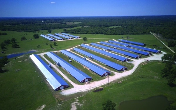 Agricultural building with a newly restored roof after storm damage by WaterTight Roofing—protect your business with fast, reliable roofing support. Call us 888-809-9976.